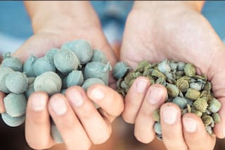 Esto es lo que hace una startup con los plásticos descartados