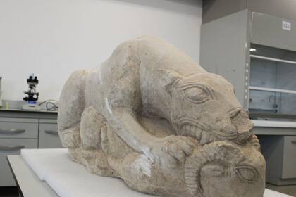 La pieza, de 2500 años de antigüedad, fue trasladada al Museo Arqueológico de Córdoba para ser sometida a una limpieza y a un estudio completo