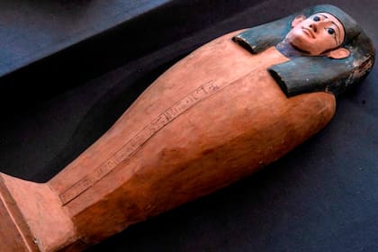 También fueron descubiertas 28 estatuas del dios Ptah Sokar, protector de los muertos y patrón de los herreros, y que habitualmente se asocia con Osiris por su apariencia de halcón