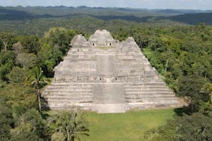 Son arqueólogos de Texas y hallaron la tumba del líder de una dinastía maya