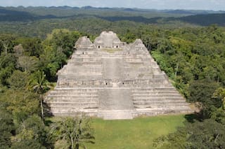 Son arqueólogos de Texas y hallaron la tumba del líder de una dinastía maya