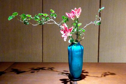 Arreglo floral hecho con la técnica Ikebana: aralia (Polyscia balfouriana) y lirio (Lilium).