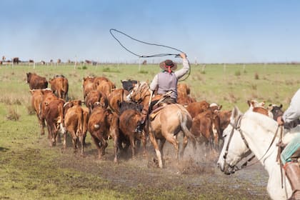 Arreo de la hacienda en Estancia Buena Vista.
