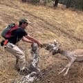 Arriesgó su vida para ayudar a un ciervo salvaje que quedó atascado con sus astas entre la basura