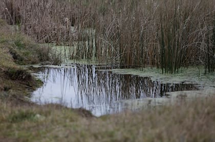 Arrojan más de 100.000 kilos de basura por día a 2000 metros del mar
