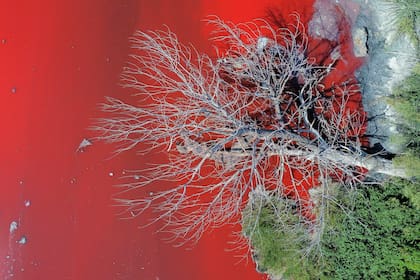 Arroyo Sarandí, en Avellaneda, teñido de rojo