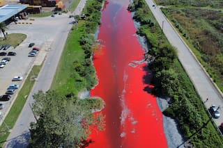 Alerta por un arroyo que se tiñó de rojo en el conurbano