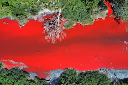 Arroyo Sarandí, en Avellaneda, teñido de rojo, esta tarde