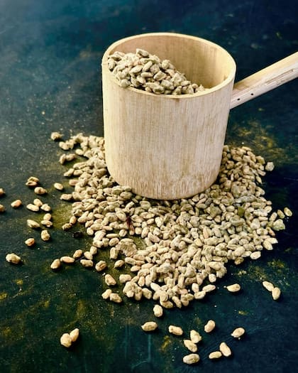 Arroz Koji con esporas verdes puras de Kyoto, Japón.