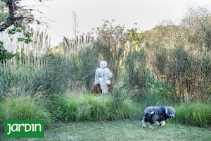 Dejaron atrás su ajetreada vida en Buenos Aires y crearon la casa, taller, jardín que siempre soñaron