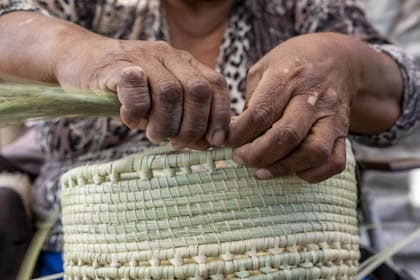 Artesana cestera de comunidad Pilagá.