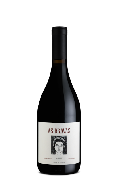 As Bravas Malbec, uno de los dos vinos premiados