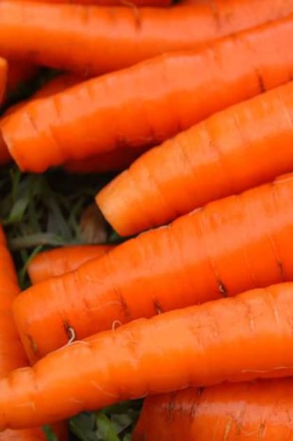 as zanahorias también son ricas en vitamina A, K, C, potasio, calcio y hierro
Foto: iStock
