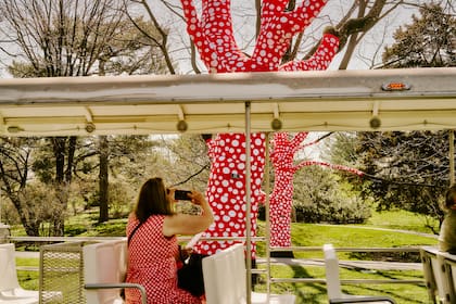 "Ascension of Polka Dots on the Trees", de Yayoi Kusama, (2002/2021). La preparación de la exhibición en el jardín del Bronx llevó tres años e integra novedades, revivals y clásicos de la artista japonesa