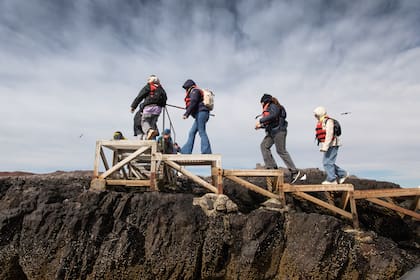 Ascenso por el cañadón hasta la colonia de pingüinos Penacho Amarillo