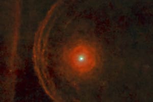 Aseguran que la estrella Betelgeuse podría estallar en los próximos años
