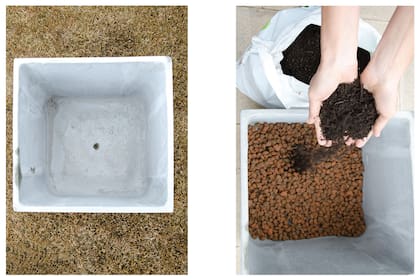 Asegurar un buen drenaje y un sustrato adecuado es el primer paso