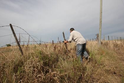 La iniciativa contempla la creación de fiscalías especializadas
