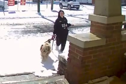 Ashley Baker abandonó al perro en Carolina del Norte y el momento quedó registrado por una cámara (WRALNews)