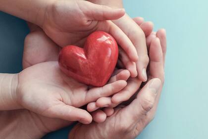 Así como el corazón es el primer órgano que empieza a funcionar en la panza de la mujer a los veintiún días de su embarazo, también es el último protagonista en el ciclo de la vida