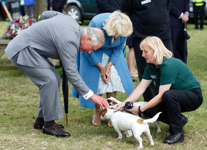 Así como su madre era devota de la raza Corgi, Carlos es fanático de los Jack Russell desde su juventud. Hoy, junto Camilla son dueños de Beth y Bluebell, dos Jack Russell que la reina consorte adoptó hace una década. En la foto se lo ve con su mujer, durante el Sandringham Flower Show, en 2015.