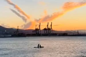 Así entraban al mar los dos marplatenses perdidos en el mar de Málaga