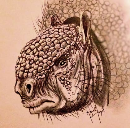 Así era el aspecto del armadillo gigante que se encontró en San Pedro