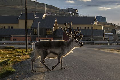 Así es Longyearbyen