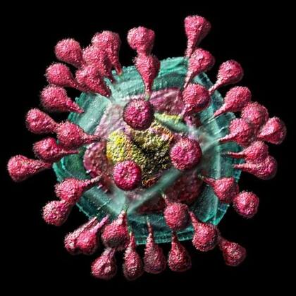 El virus se propaga a través de gotículas de saliva cuando una persona tose o estornuda