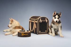 Así es el bolso de lujo que presentó Louis Vuitton en su nueva colección