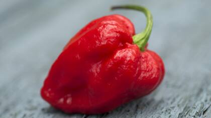 Así es el pimiento Carolina Reaper, el más picante del mundo