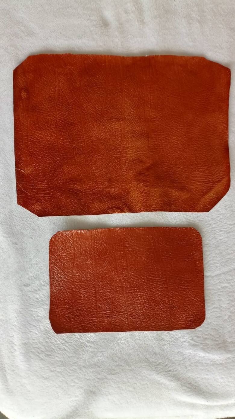 Emprendedores crean biomaterial similar al cuero a base de hongos y residuos orgánicos