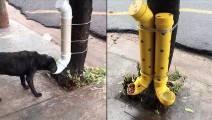 Así es el sistema que este joven instaló en las plazas de Junín de los Andes
