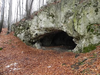 Así es la cueva de Maszycka, en Polonia, donde hallaron los restos óseos