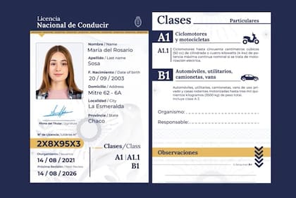 Así es la nueva licencia de conducir digital válida en toda la Argentina