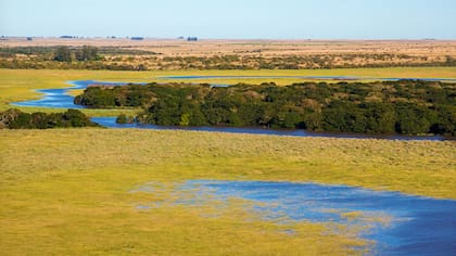 Rincón del Socorro, la estancia de Kristine Tompkins, en los Esteros del Iberá