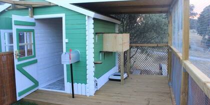 Así es una habitación en el primer hotel para gatitos de Madrid. Foto: Gatosphere