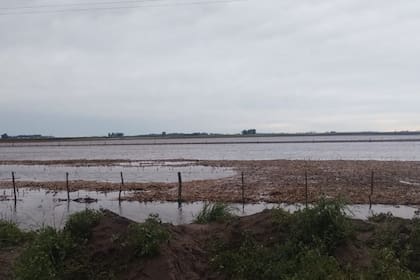 Así está un campo hoy en Bolívar tras las lluvias