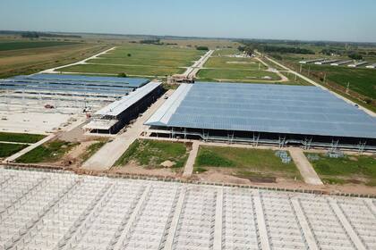 Así estaba el nuevo mercado ganadero en Cañuelas en mayo pasado. La obra esta próxima a su finalización