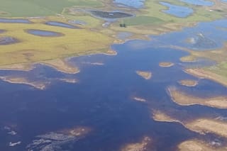 En 9 de Julio piden acciones urgentes ante la gran cantidad de agua en los campos