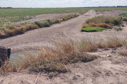 Así están aguadas en los campos de Chaco