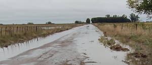 Las lluvias frenaron la cosecha y hay preocupación en un momento clave