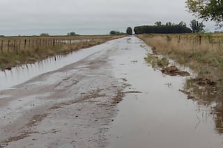 Las lluvias frenaron la cosecha y hay preocupación en un momento clave