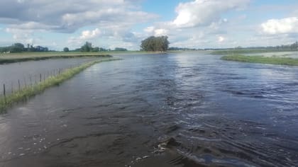 Así están los campos de la localidad de Bragado