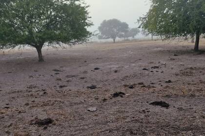 Así están los campos del productor