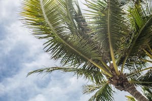 Noticias del sur de Florida y Miami hoy: últimas actualizaciones del jueves 7 de mayo