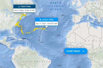 Así exhibe Ocearch el seguimiento de la travesía de Nukumi (en rigor, la cabeza del tiburón debería apuntar a Europa)