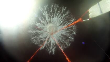 Así explota un globo sonda a 30 km de altura