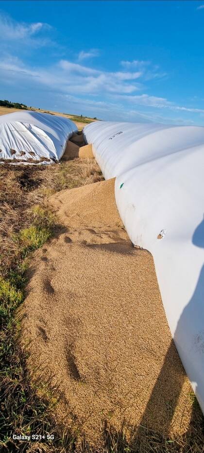 Así fue el ataque a los silobolsas