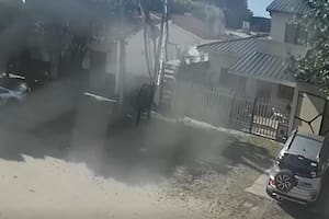 Así fue el choque de Eugenia Rolón por manejar alcoholizada